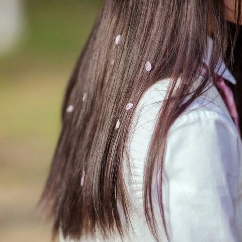 [Nhạc Hoa]-[中国音乐]-至少还有你-Ít nhất còn có em/Luân Tang- 伦桑