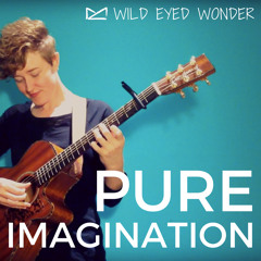 Pure Imagination (Acoustic Cover)