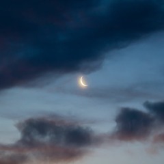 worth the while (12-31-2016)