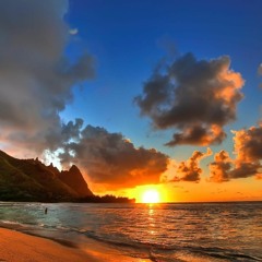 Summer Highlights 2009