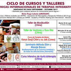 CICLO DE CURSOS TÉCNICAS INTERNACIONALES TERAPIAS INTEGRATIVAS EN SANTIAGO DE CHILE