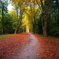 Tu as fait un chemin / You Made a Way
