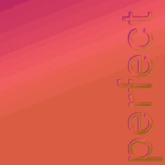 The Perfect Kiss (Buffer Overflow Version) (New Order cover)