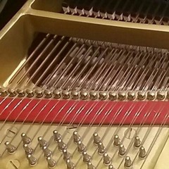 Monochord 1 (excerpts)
