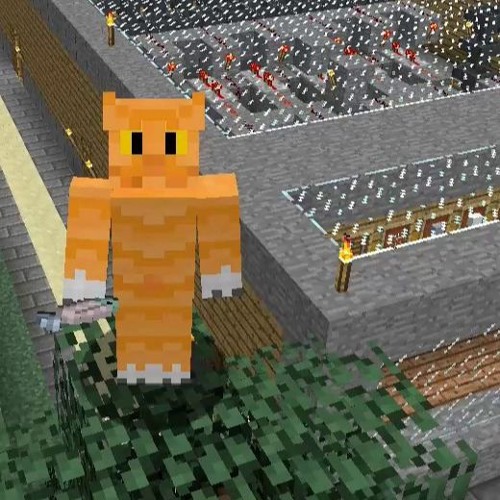 Expanding the sorting machine (part 1)