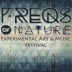 ChillinBerlin @ Freqs Of Nature Festival 2015
