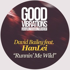 David Bailey feat. HanLei - Runnin' Me Wild (GVM007)