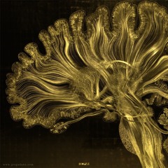 Vitamine D2 (vapor bass vers)