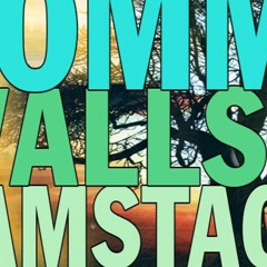 The Timber Taal live @ Kontrastfilm Sommerfest 2017