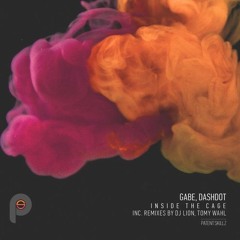 Gabe DD, Dashdot - Black Hole (Tomy Wahl Remix) [Patent Skillz Records]