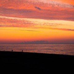 זהר ארגוב - צל עץ תמר - קאבר
