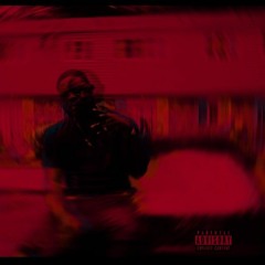 Magnolia *Freestyle*