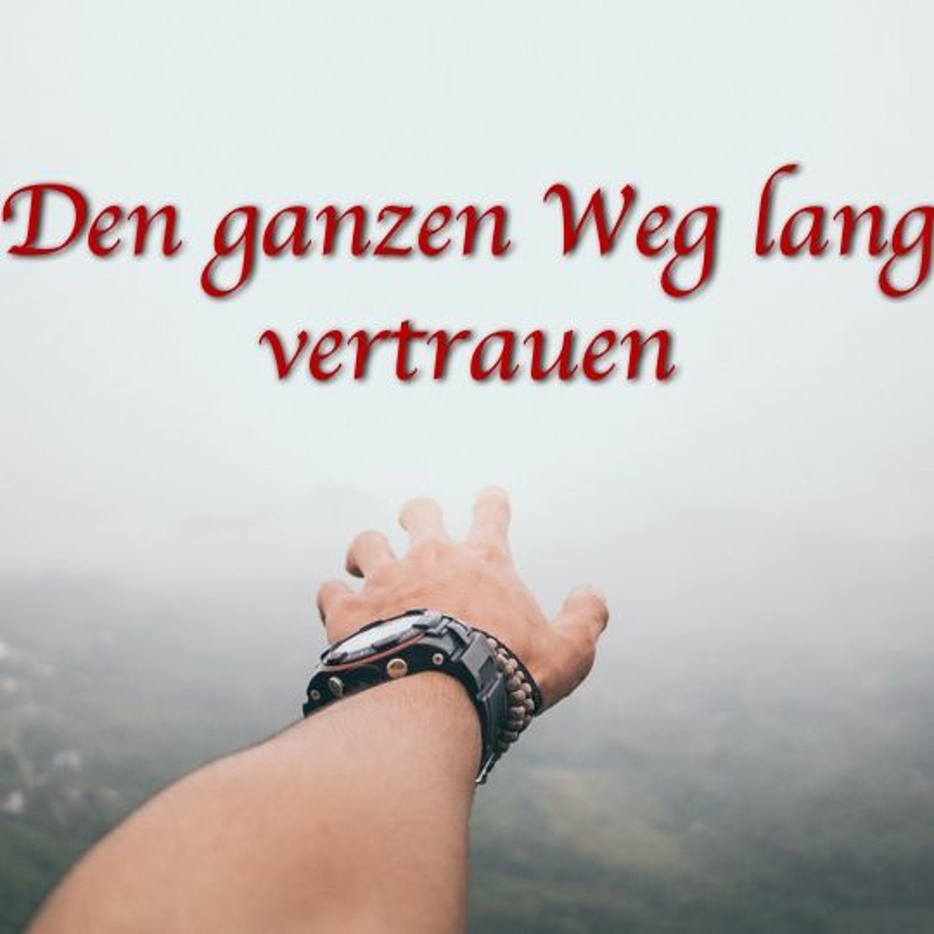 Den ganzen Weg lang vertrauen | Trusting Your Way Through - Deanna Driggers