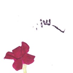 until the end (feat. jxsh)