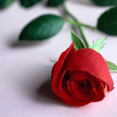 A Mayt Pa Khet Hlwae` (အေမ့ပုခက္လႊဲ)