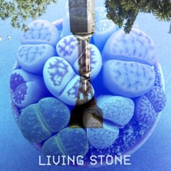 Living Stone
