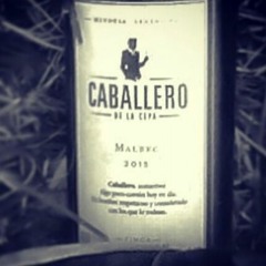 El Caballero De La Cepa