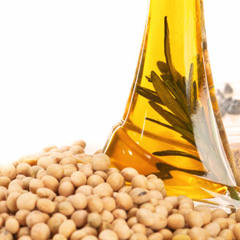 La soja en los alimentos de consumo masivo - Ana Clara Martino