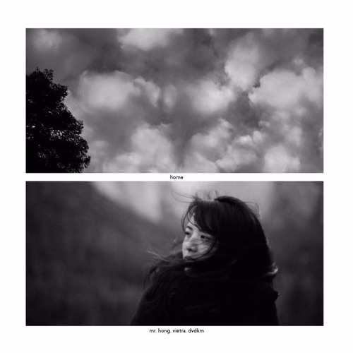 home (feat. vietra and dvdkm) [inst.]