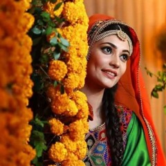 agha