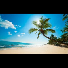 Brazilian Bangers (Prod. TotallyIntoYou)