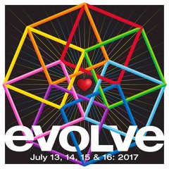 Dezza - Live At Evolve Festival 2017