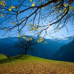 MOZART — Horn Concerto No. 4 in E-flat: 1. Allegro maestoso