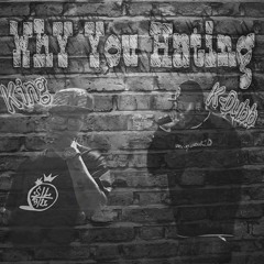 King X K - DUBB X Why You Hating