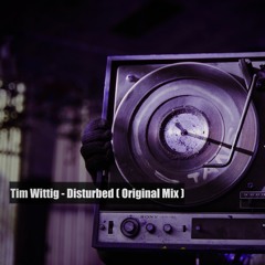 Tim Wittig - Disturbed ( Original Mix // Unmastered )