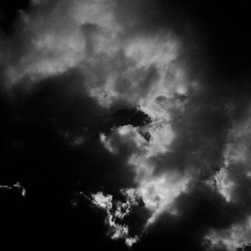 In the Field 7/15/17