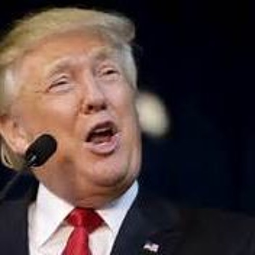 Donald Trump Dubstep Remix