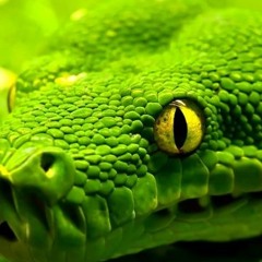 Metal Gear Solidity[Instrumental]