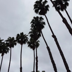 R.I.P. Venom ( Daniel Joseph Cardinale)