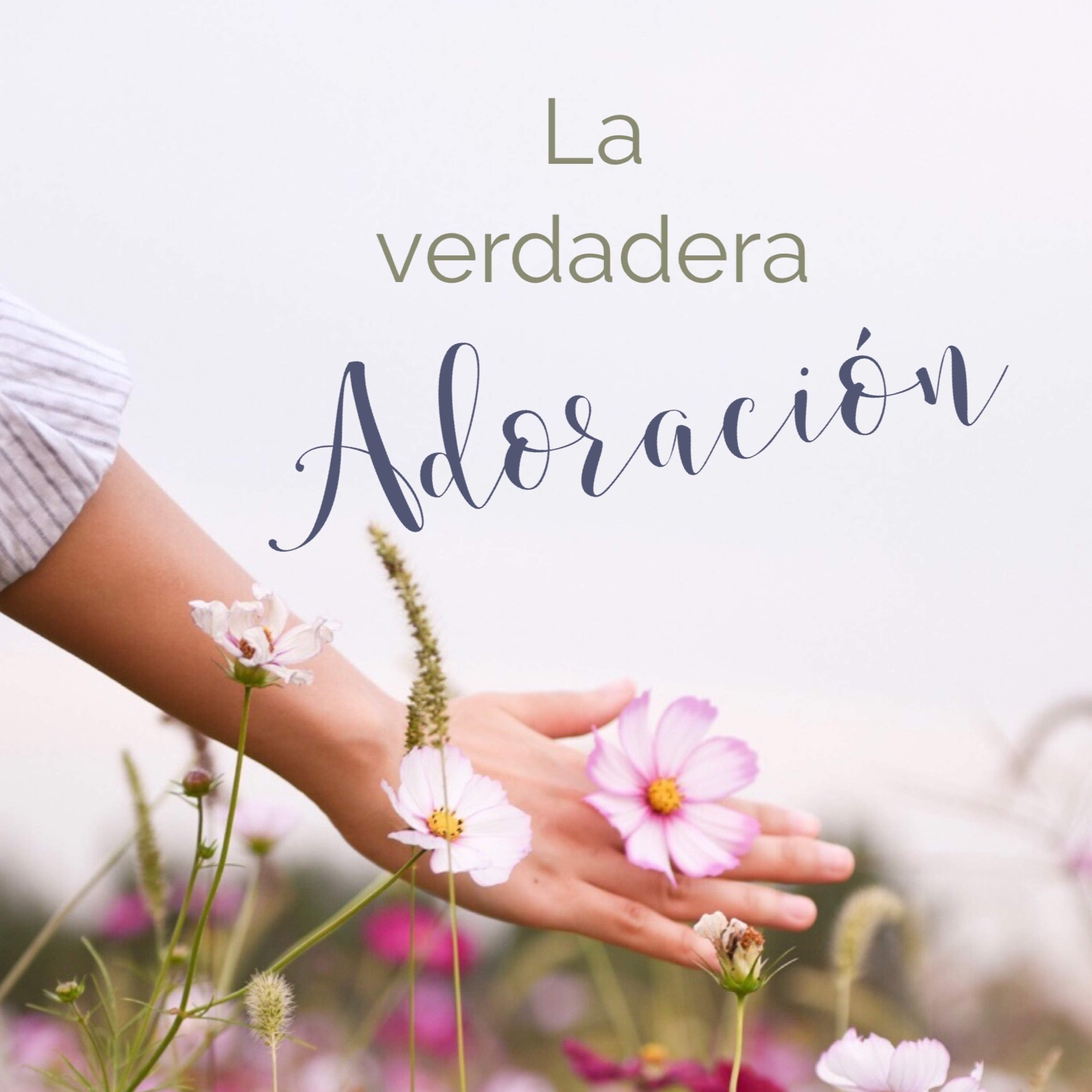 Viña Oeste La Guácima
