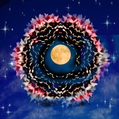 What About Moonlight