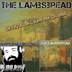"WORLD NEEDS LOVE" MEGA MIX HOSTED BY IRIE DOLE