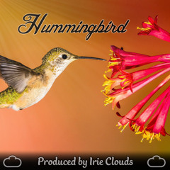 Hummingbird Instrumental