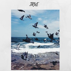 Mike Rumi - True [Prod By. SHULAGOD]