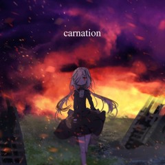 carnation【 #BMS_Shuin 】