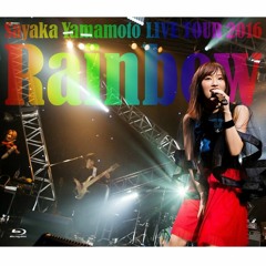 365nichi no Kamihikouki (365日の紙飛行機) (山本彩 LIVE TOUR 2016 ~Rainbow~)