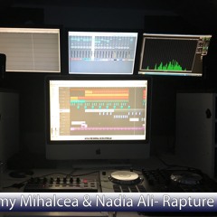 Rapture(feat. Nadia Ali)