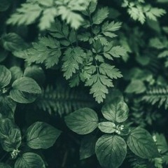 Airo-Draco-Malfoy-Harry-Potter-Rap-Yung-Mavu-Answer.mp3