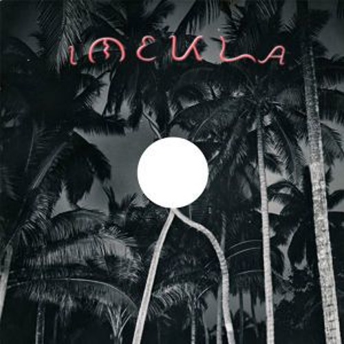 甘夏 - 鶴岡龍とマグネティックス