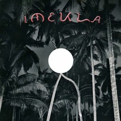 Guajira Para Los Pollos- 鶴岡龍とマグネティックス