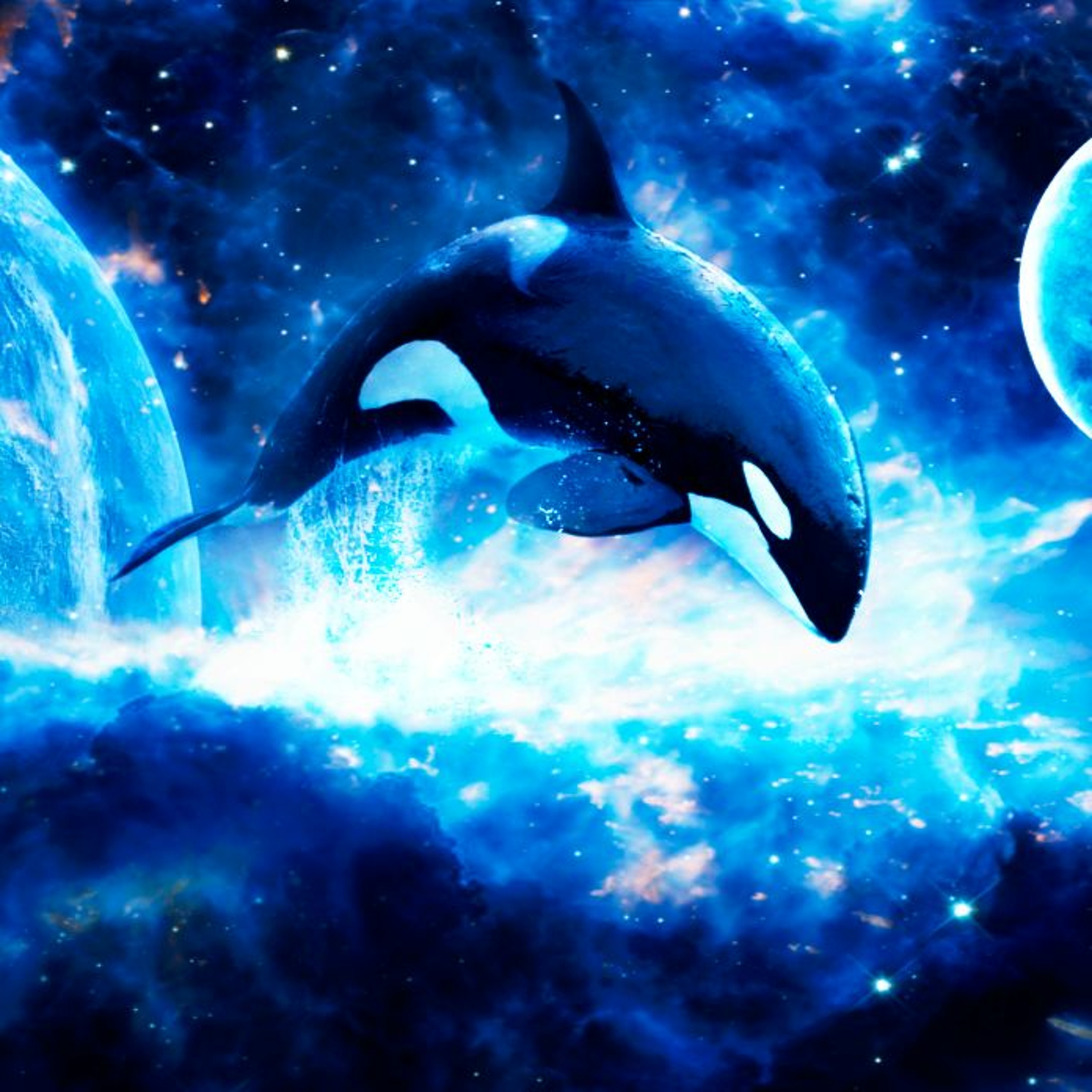 Motion episode artwork