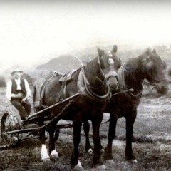 McGinty's Meal & Ale