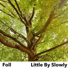 Foll - Little By Slowly