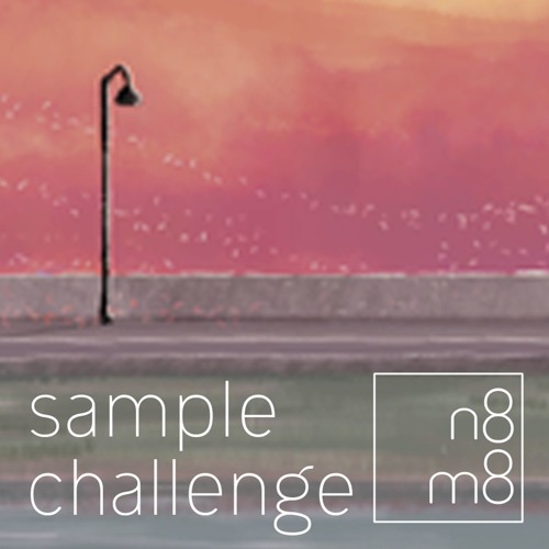 n8m8 sample challenge