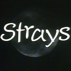 STRAYS - PERFECTION