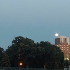 geographical monotony (demo)